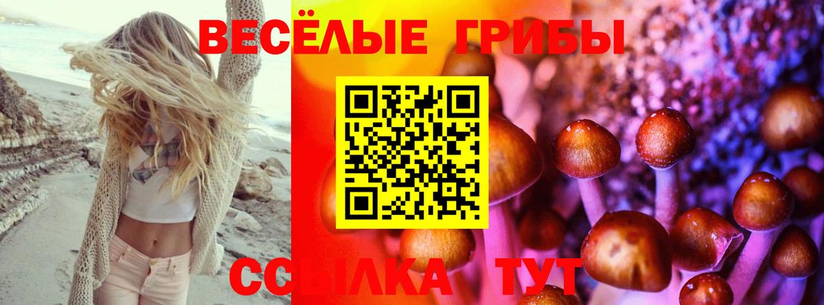 купить наркотики сайты  Вход с VPN  Брянск  Галлюциногенные грибы Psilocybine cubensis 